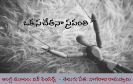 ఒక సచేతనా స్రవంతి