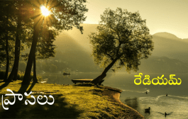 ప్రాసలు