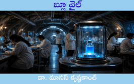 బ్లూ వైల్