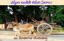 ఎద్దుల బండికి చివరి సలాం!