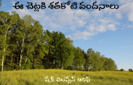 ఈ చెట్లకి శతకోటివందనాలు