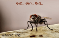 ఈగ.. ఈగ.. ఈగ..