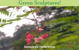 Green Sculptures!