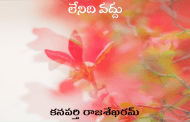 లేనిది వద్దు