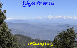 ప్రకృతి పాఠాలు
