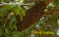 సొంత లాభం..