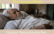 The Uncaged Birds