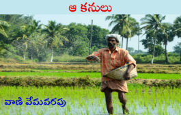 ఆ కనులు