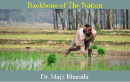 Backbone of The Nation