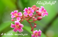 గమ్యమెక్కడో