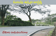 మలుపు ఉన్నది జాగ్రత్త