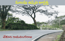 మలుపు ఉన్నది జాగ్రత్త