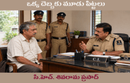 ఒక్క దెబ్బకు మూడు పిట్టలు
