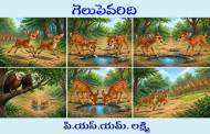 గెలుపెవరిది
