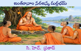 జంతూనాం నరజన్మ దుర్లభమ్