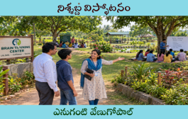 నిశ్శబ్ద విస్ఫోటనం
