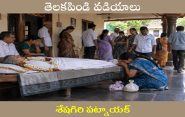 తెలకపిండి వడియాలు