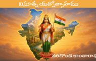 వినూత్న యత్నోత్సాహము