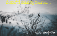 చీకటిలోనే చిరుదివ్వె వెలుగులు..