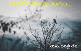 చీకటిలోనే చిరుదివ్వె వెలుగులు..