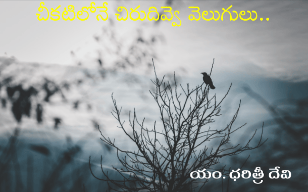 చీకటిలోనే చిరుదివ్వె వెలుగులు..