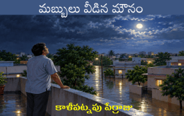మబ్బులు వీడిన మౌనం