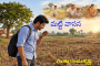 మట్టి వాసన