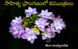 సాహిత్య ప్రాంగణంలో కవయిత్రులు