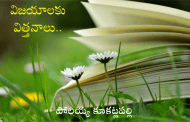 విజయాలకు విత్తనాలు..